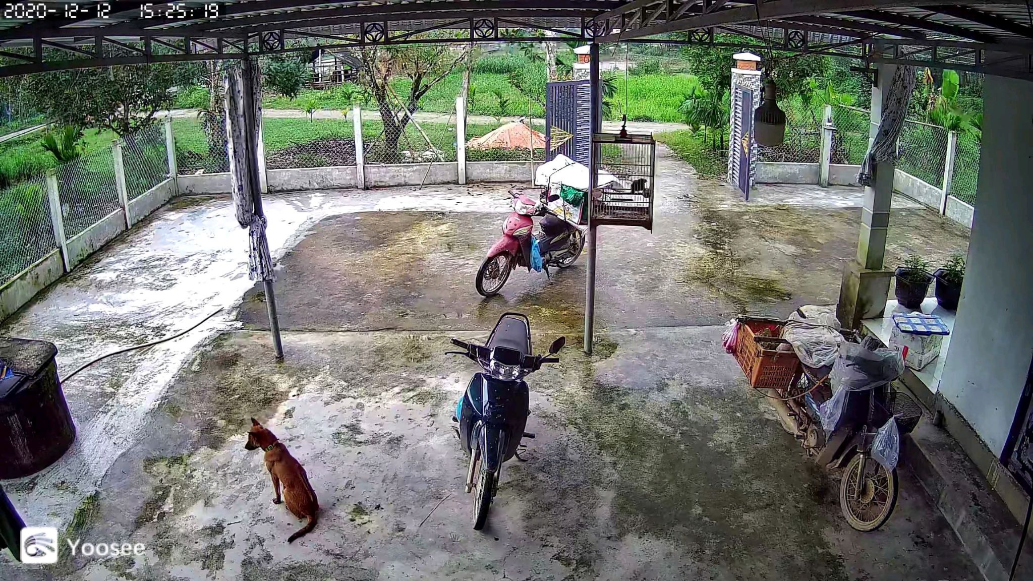 📍 LẮP ĐẶT CAMERA QUẬN 11 – AN TOÀN TỪ MỌI GÓC NHÌN | CAMERA MINH KHANG 📷